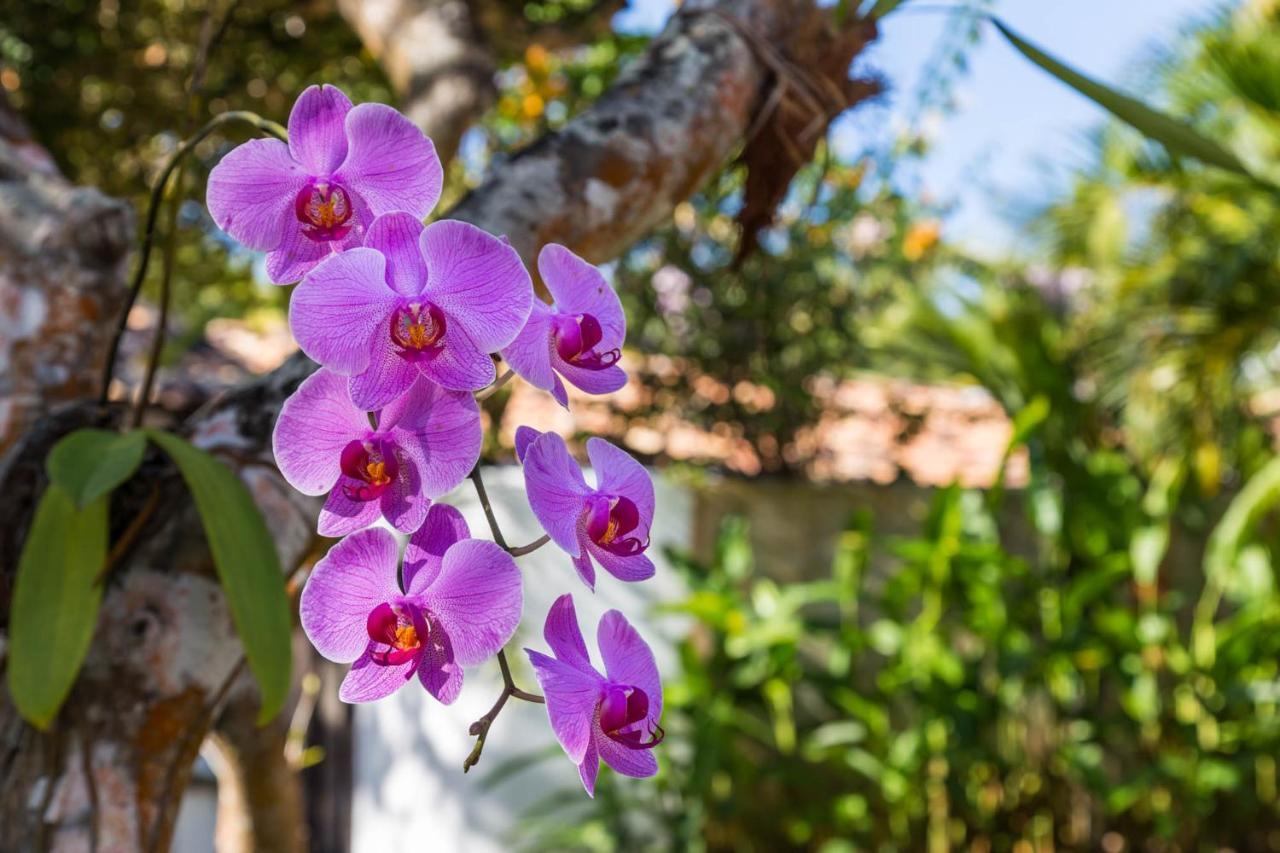 Victor Hugo Pousada Com Natura E L'Occitane Santo André Dış mekan fotoğraf